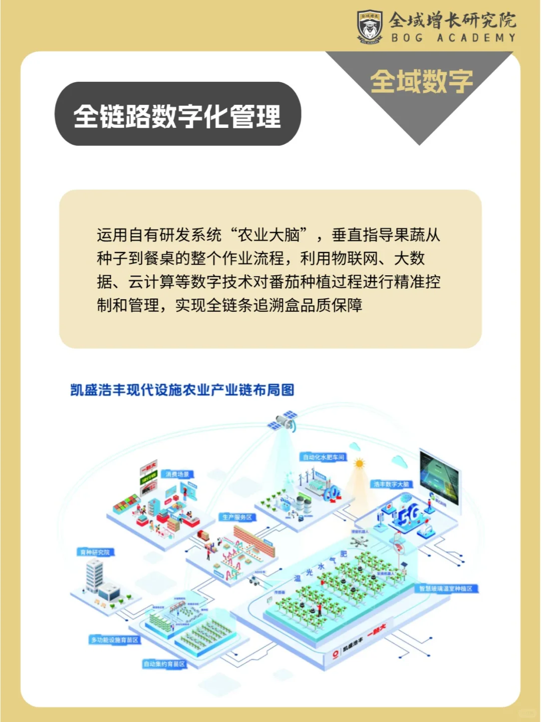 品牌案例 | 一颗大™的全域增长模式分析