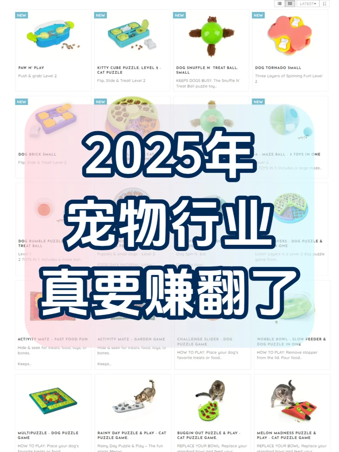 宠物行业要爆!这波风口不抓真的亏大了!