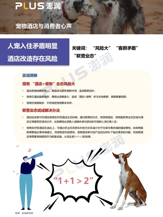 澎润发布|宠物友好型酒店市场洞察报告