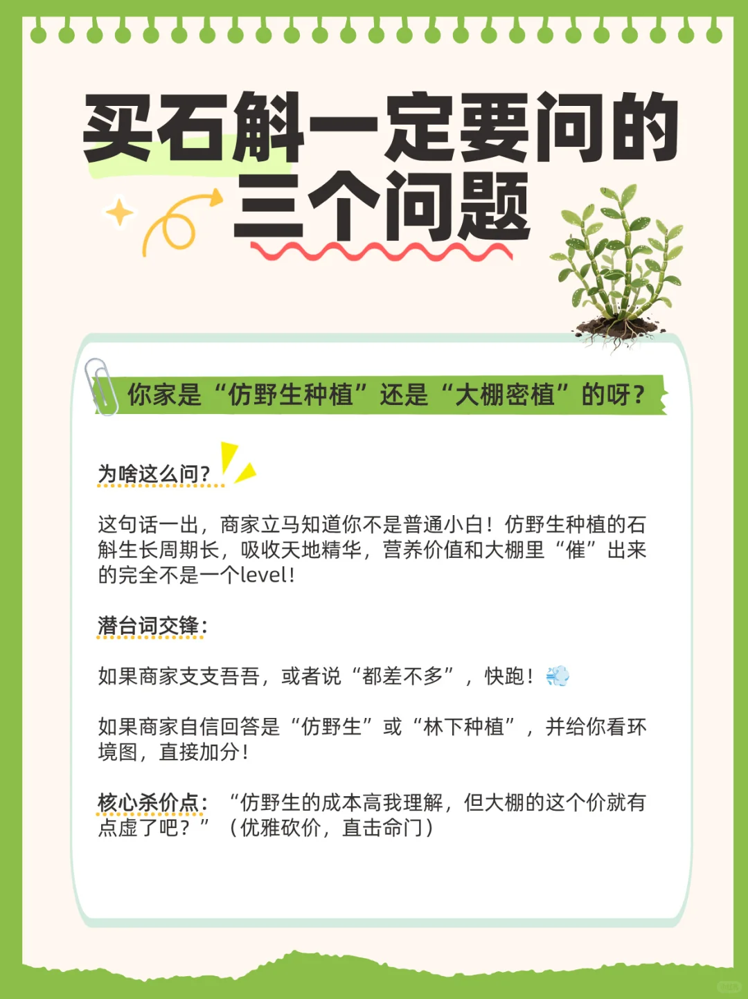行业大揭秘:铁皮石斛的功效与作用