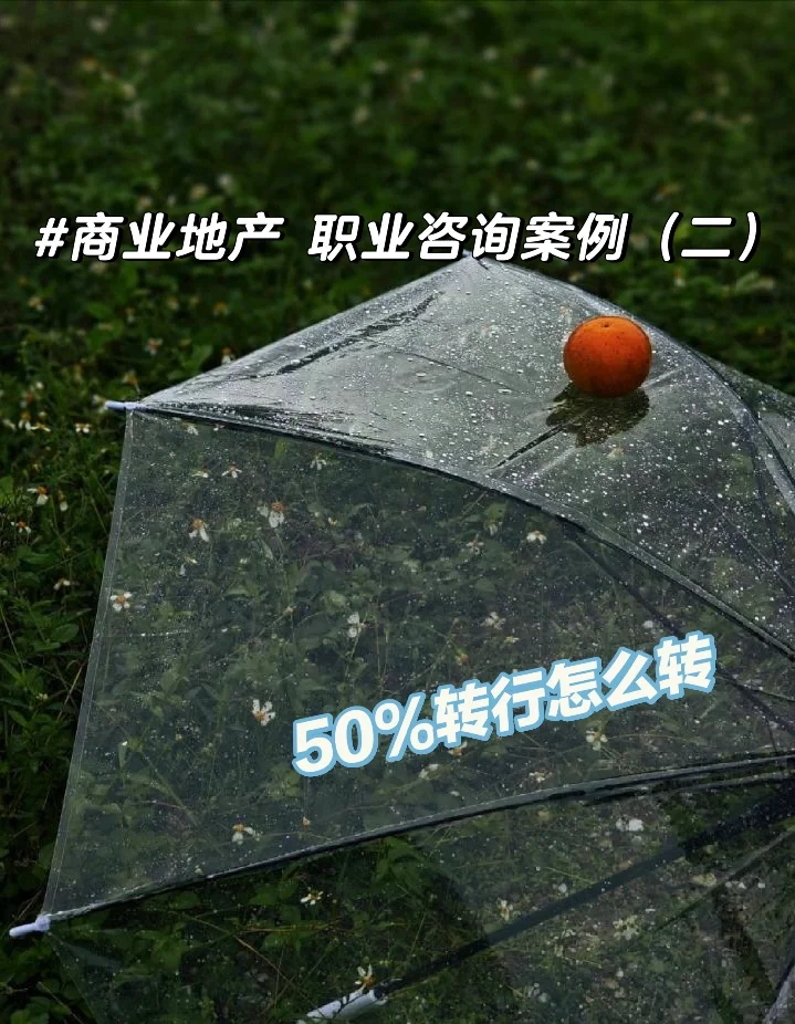 商业地产 职业咨询案例(二)