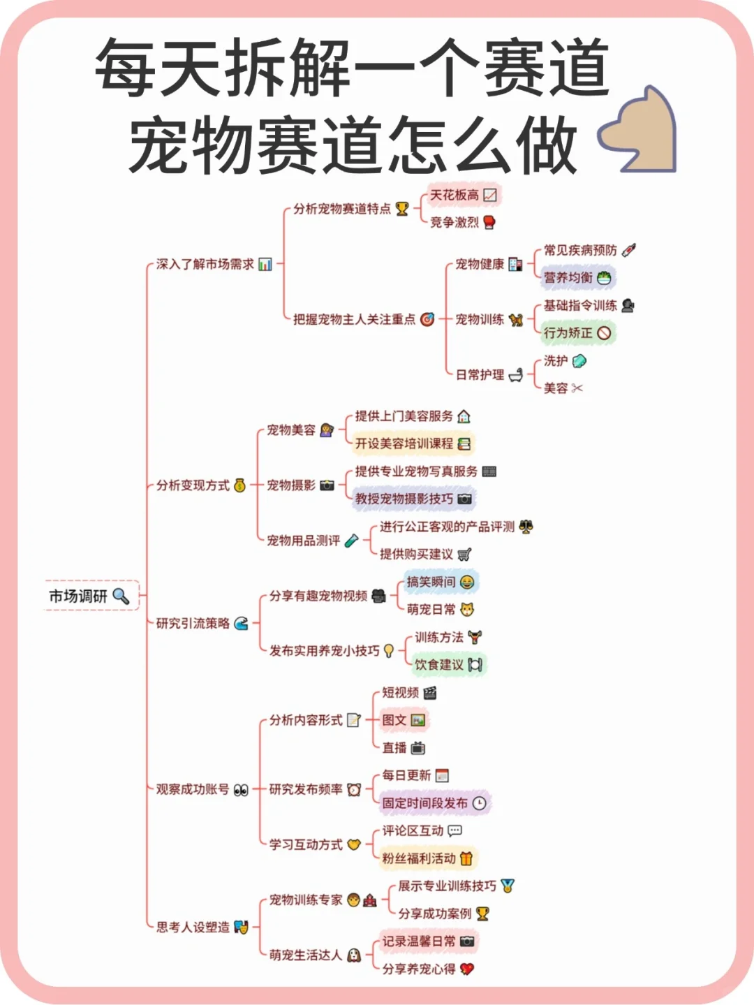 day1|每天拆解一个赛道,宠物博主看过来