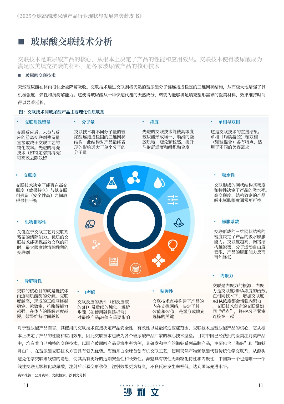 2025年全球高端玻尿酸产品报告
