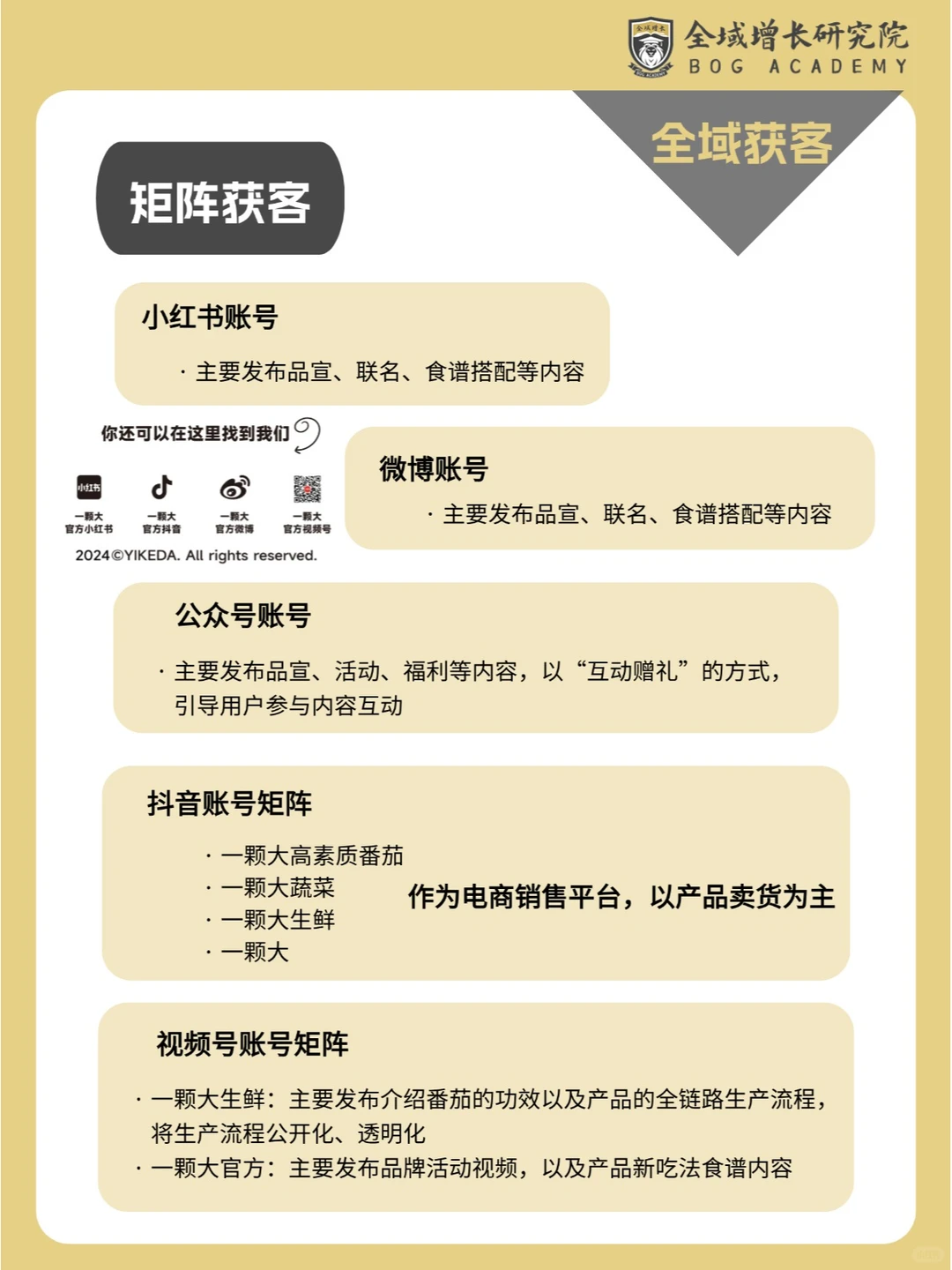 品牌案例 | 一颗大™的全域增长模式分析