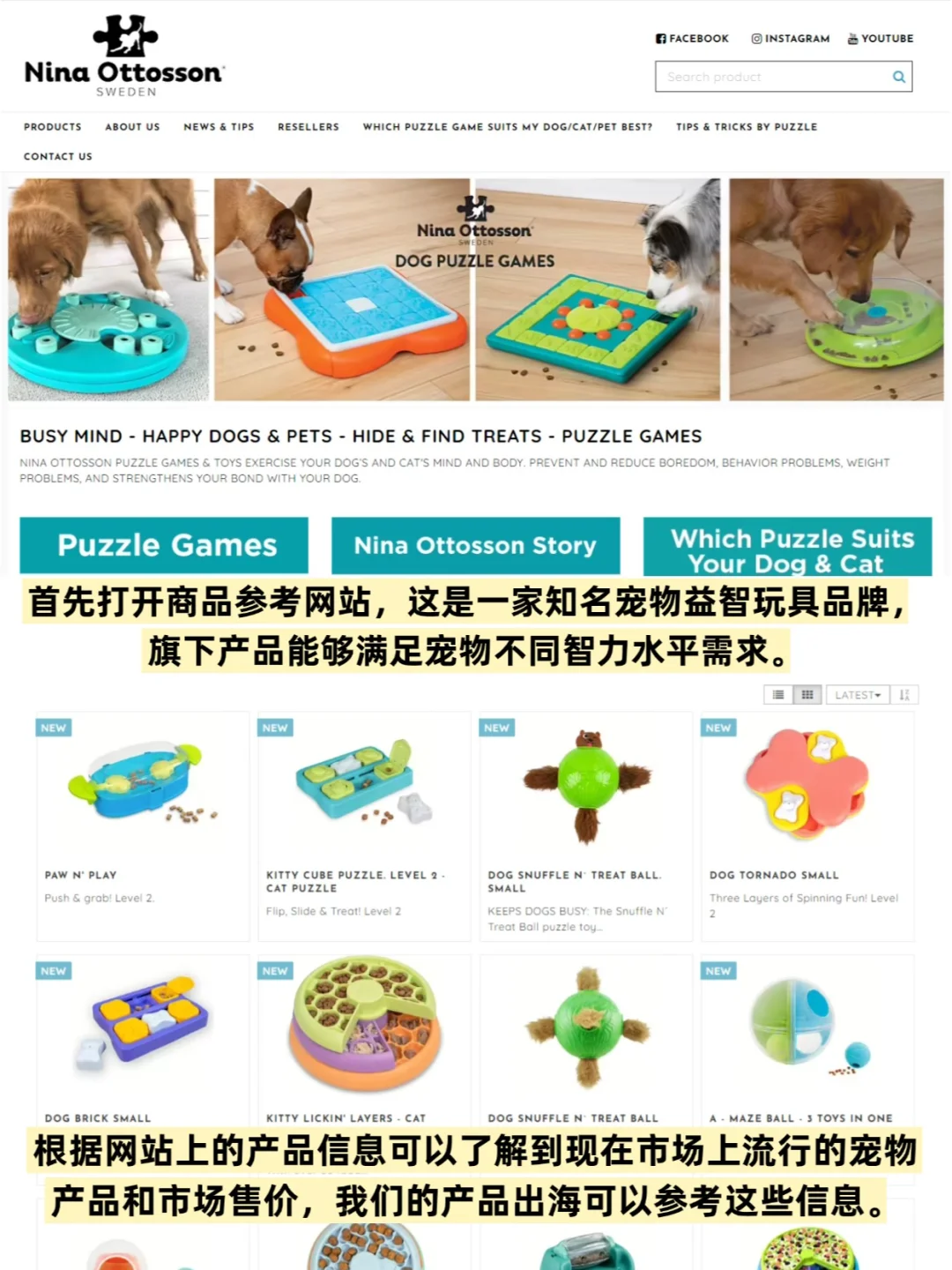 宠物行业要爆!这波风口不抓真的亏大了!