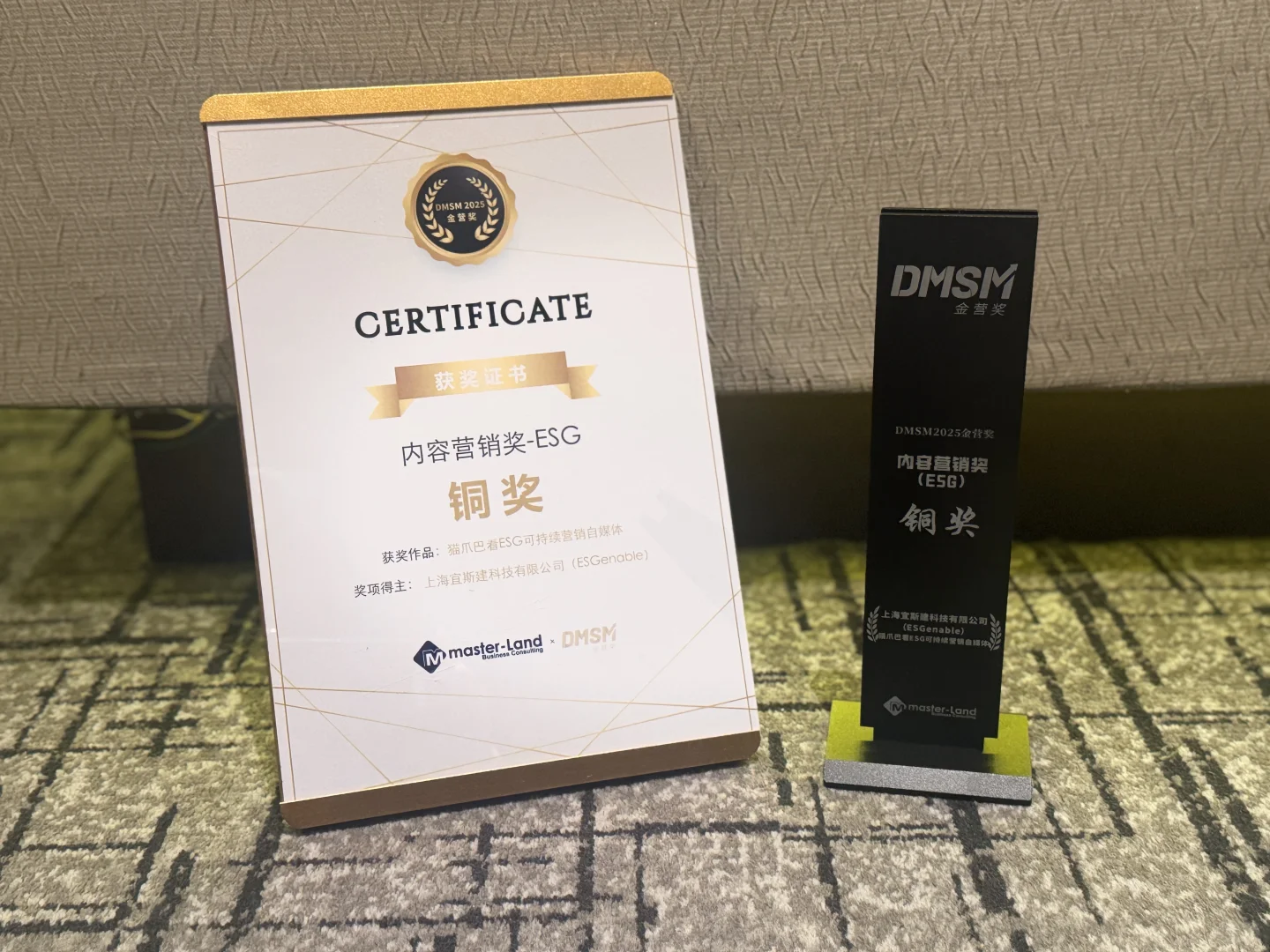 ESG奖项|DMSM 2025内容营销奖-ESG铜奖