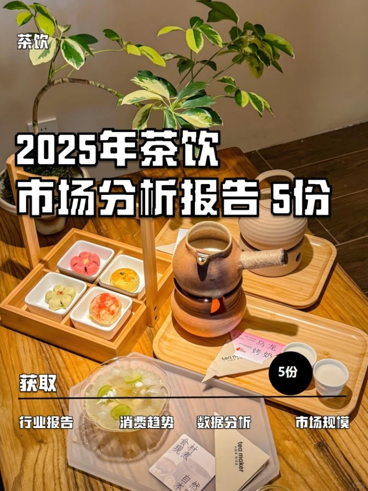 2025年茶饮市场分析报告（5份）