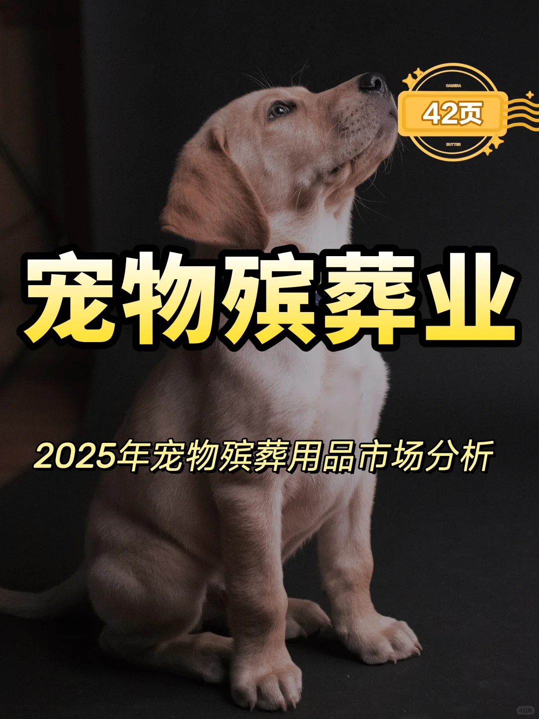 2025年宠物殡葬用品市场分析