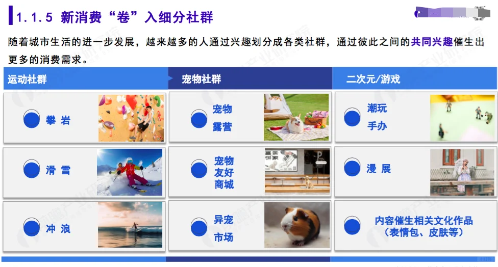 2023年新消费潜力洞察蓝皮书