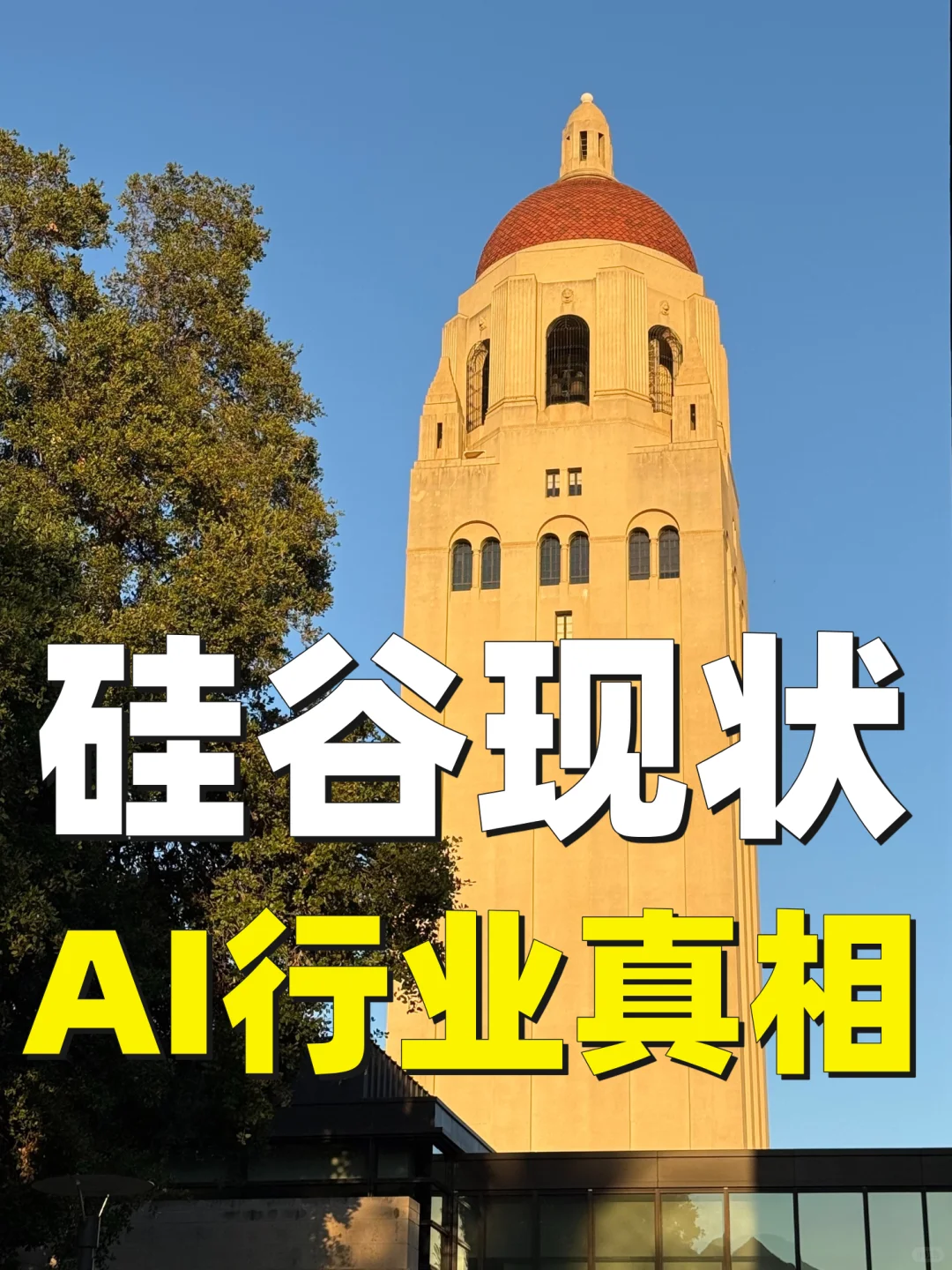 硅谷AI行业现状真相,在硅谷密集聊了很多人