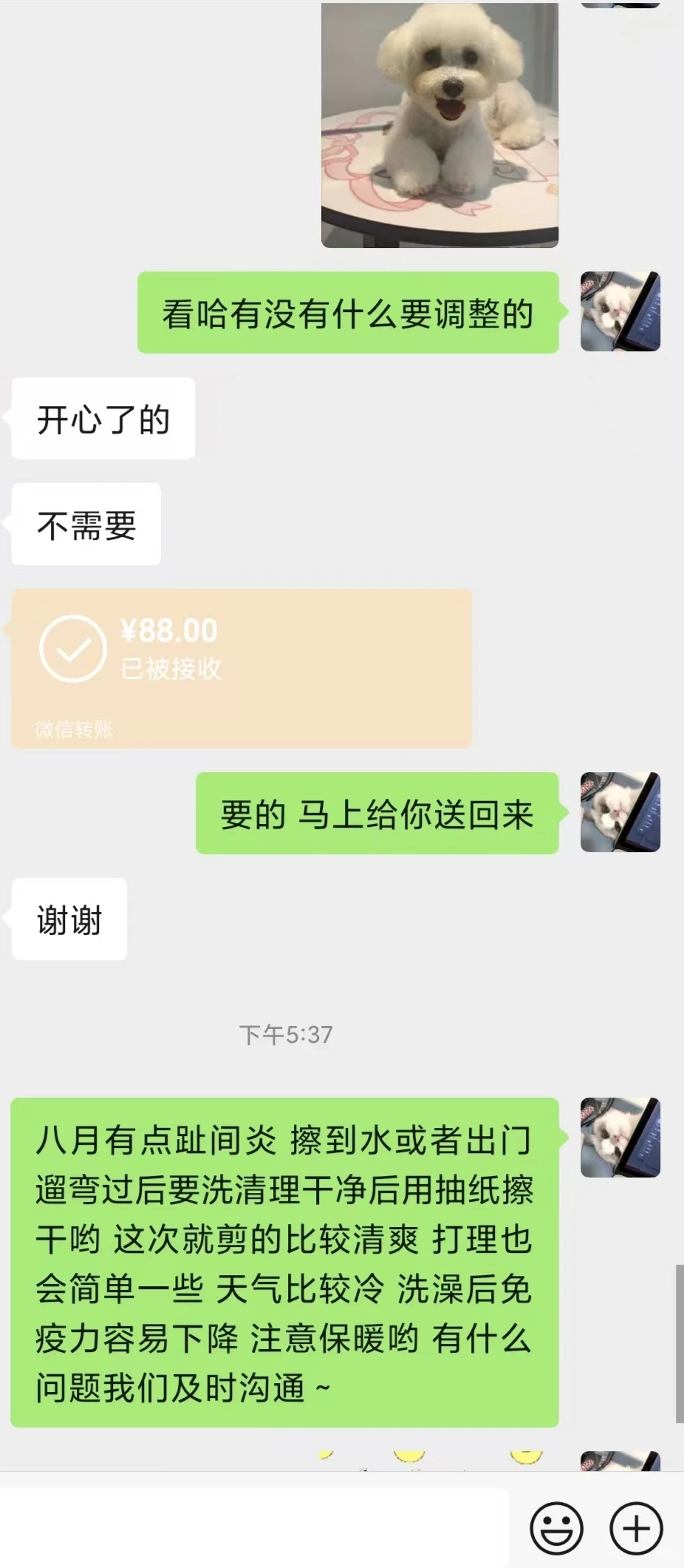 郫都区宠物店养店日常～