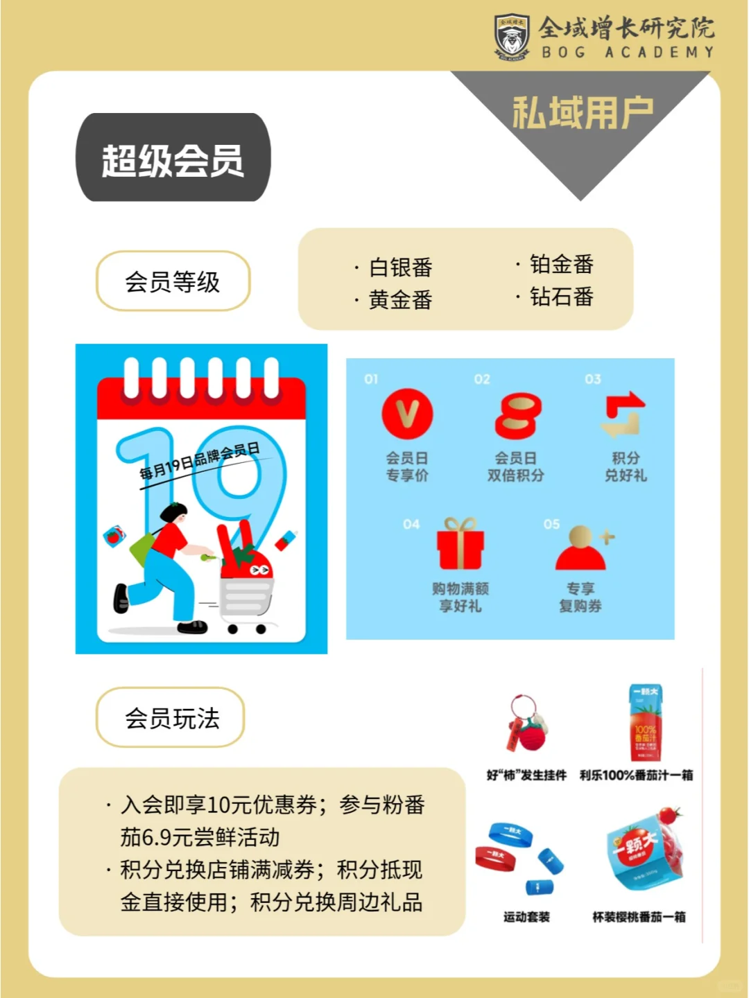 品牌案例 | 一颗大™的全域增长模式分析