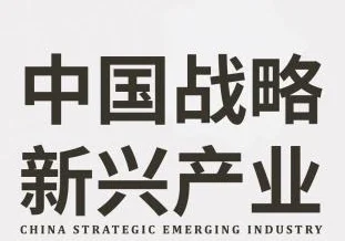 中国战略新兴产业发展白皮书