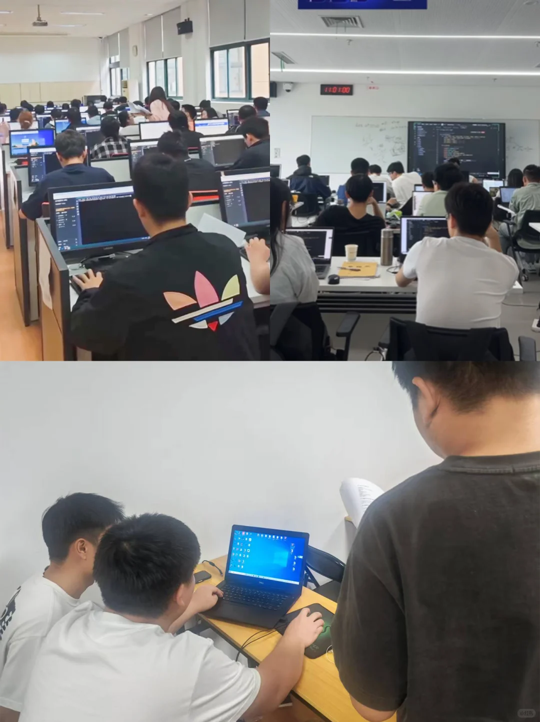 政策风口 + 行业爆发,学云计算正是好