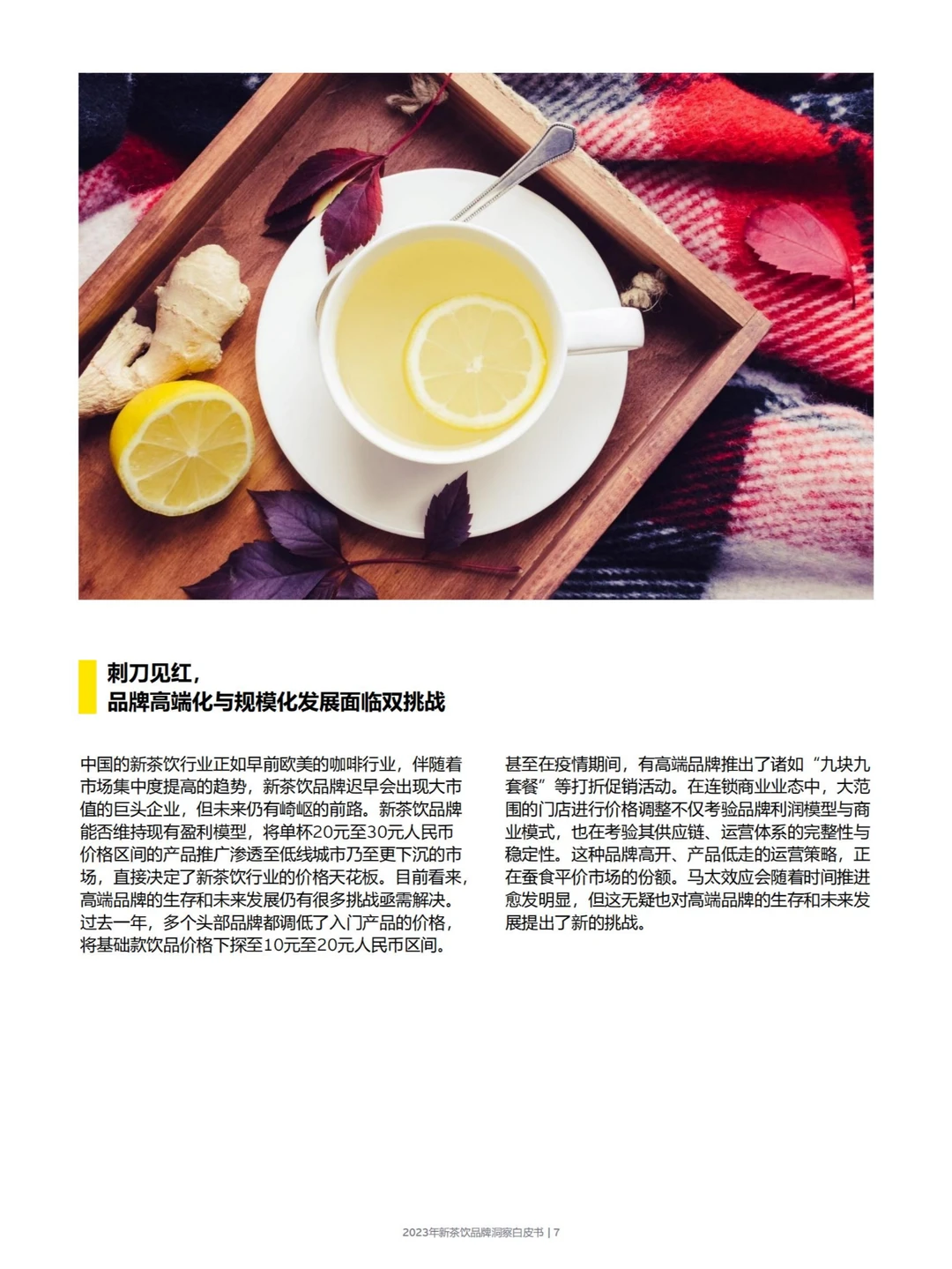 行业报告 | 2024 新茶饮增长深度剖析