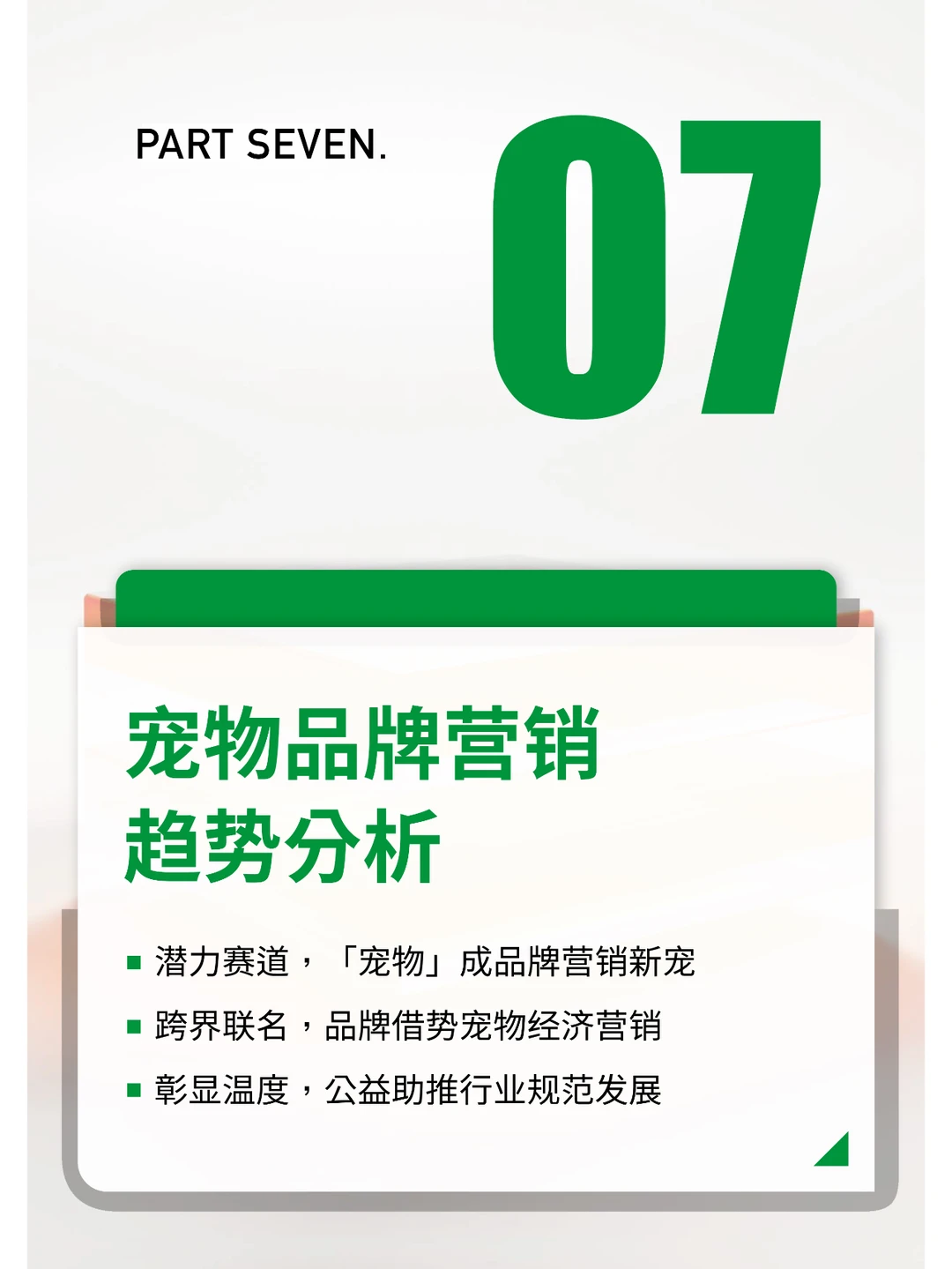 2024中国宠物行业报告研究