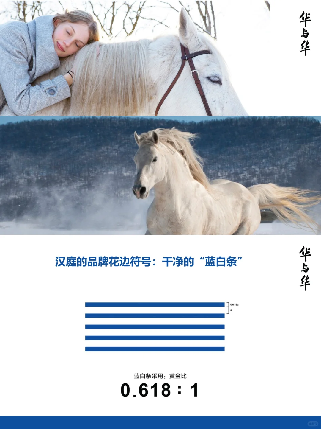 华与华策划——经典咨询案例