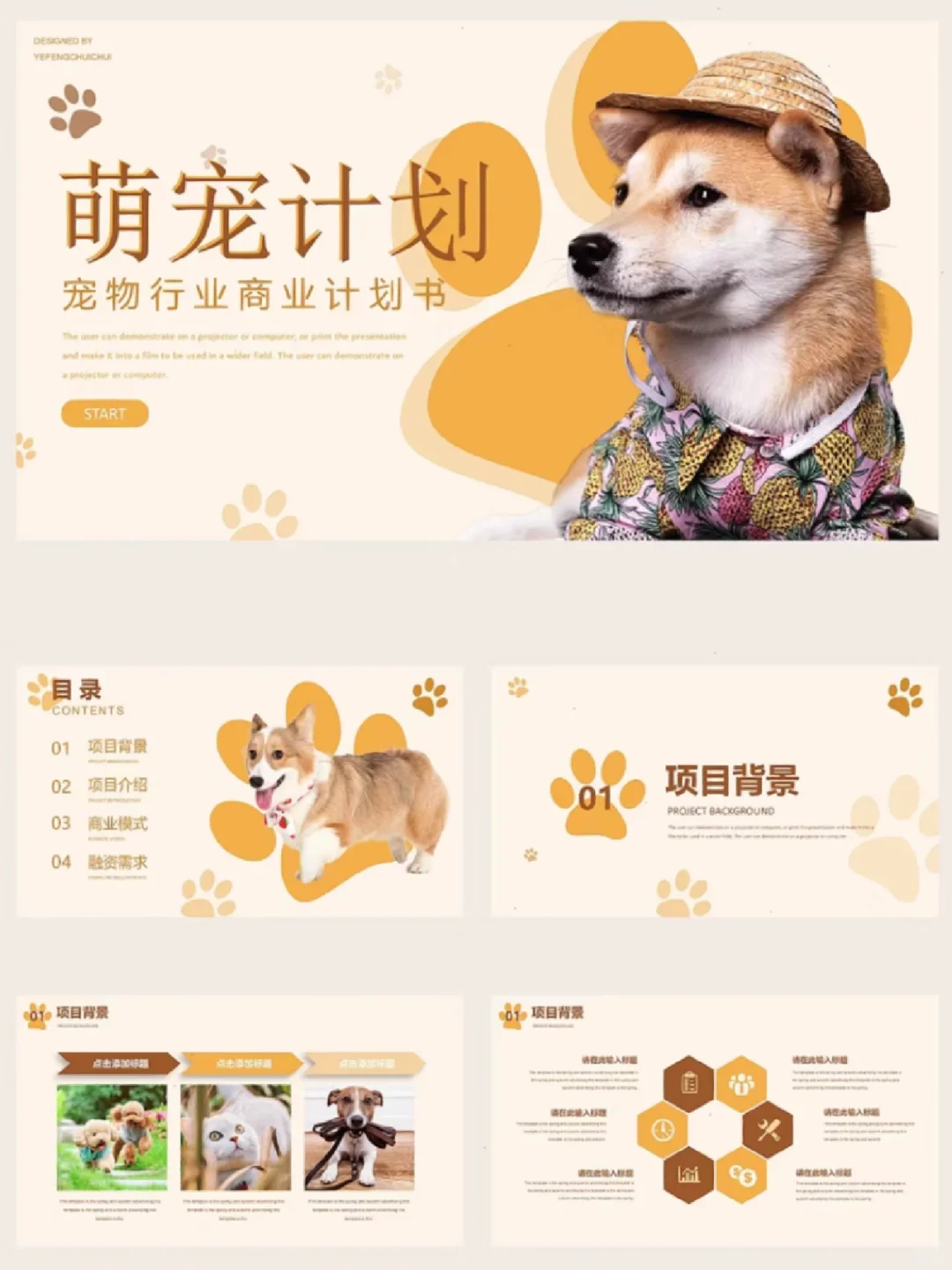 黄色宠物行业计划书