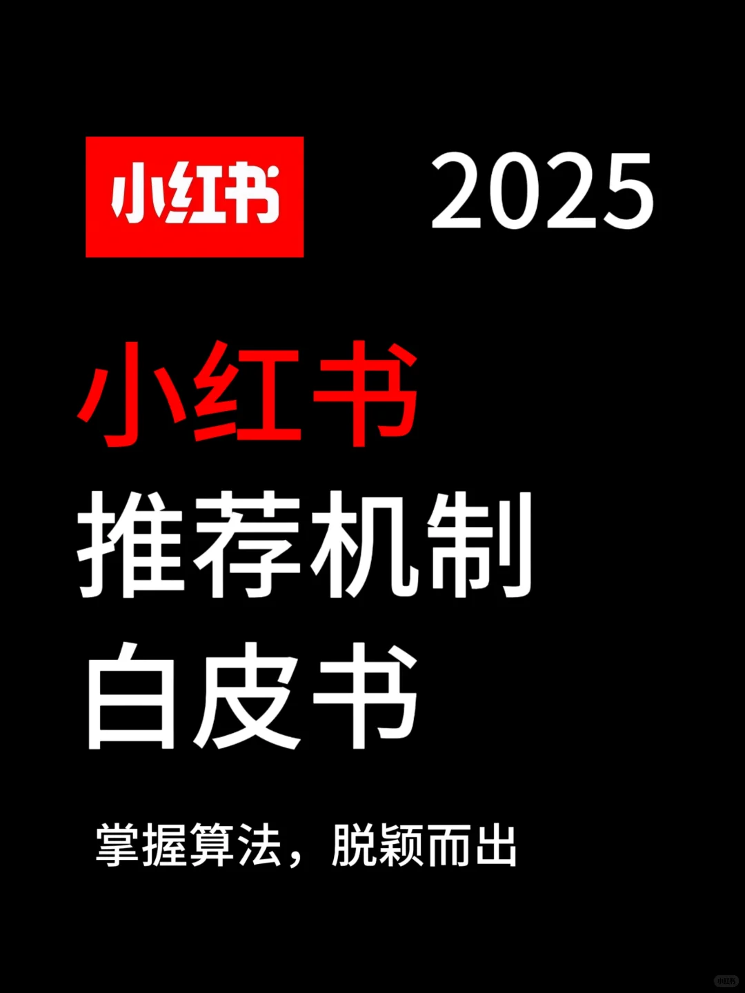小红书算法推流机制白皮书