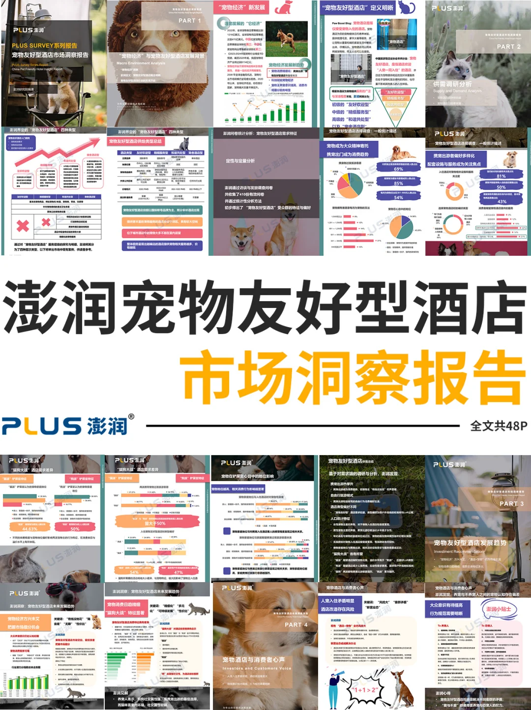 澎润发布|宠物友好型酒店市场洞察报告