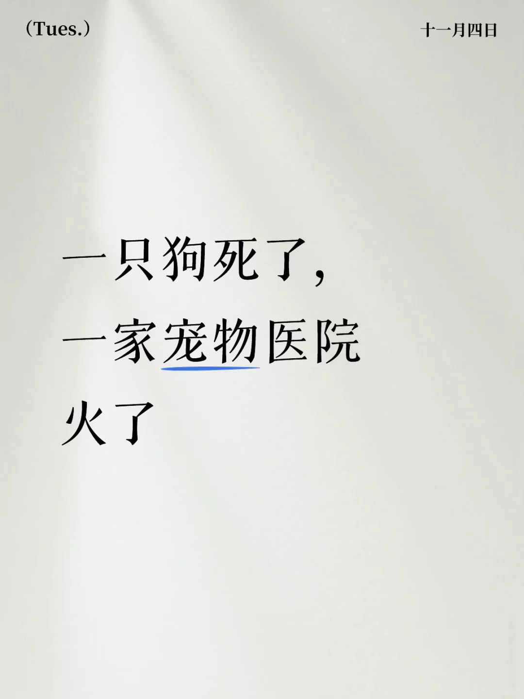 一只狗死了,一家宠物医院火了