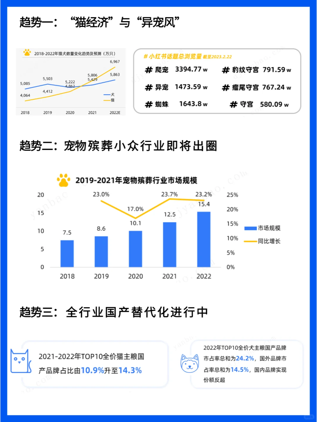 宠物行业研究报告 - 萌宠经济盛行