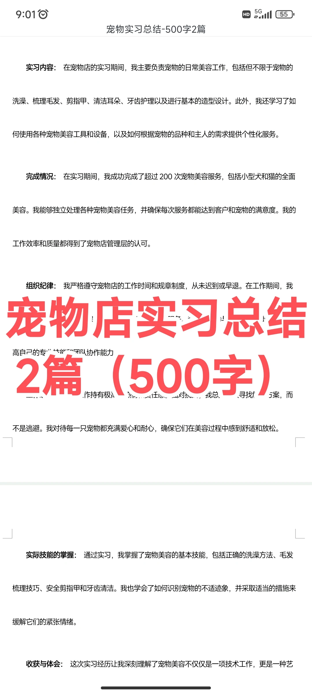 宠物店实习总结2篇（500字）