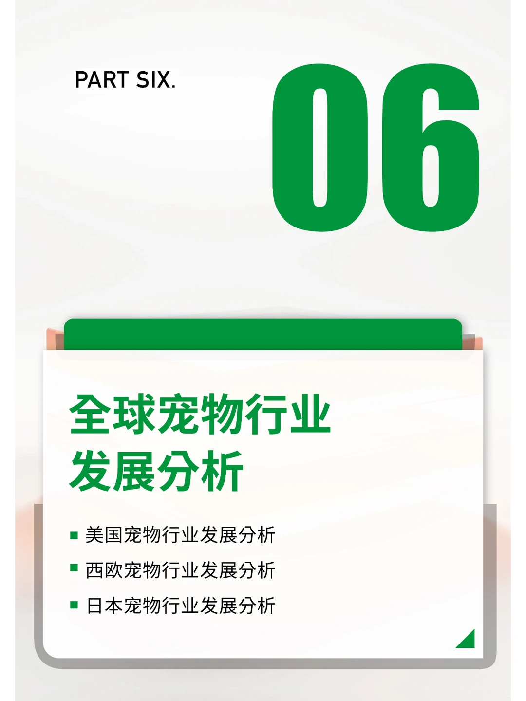 2024中国宠物行业报告研究