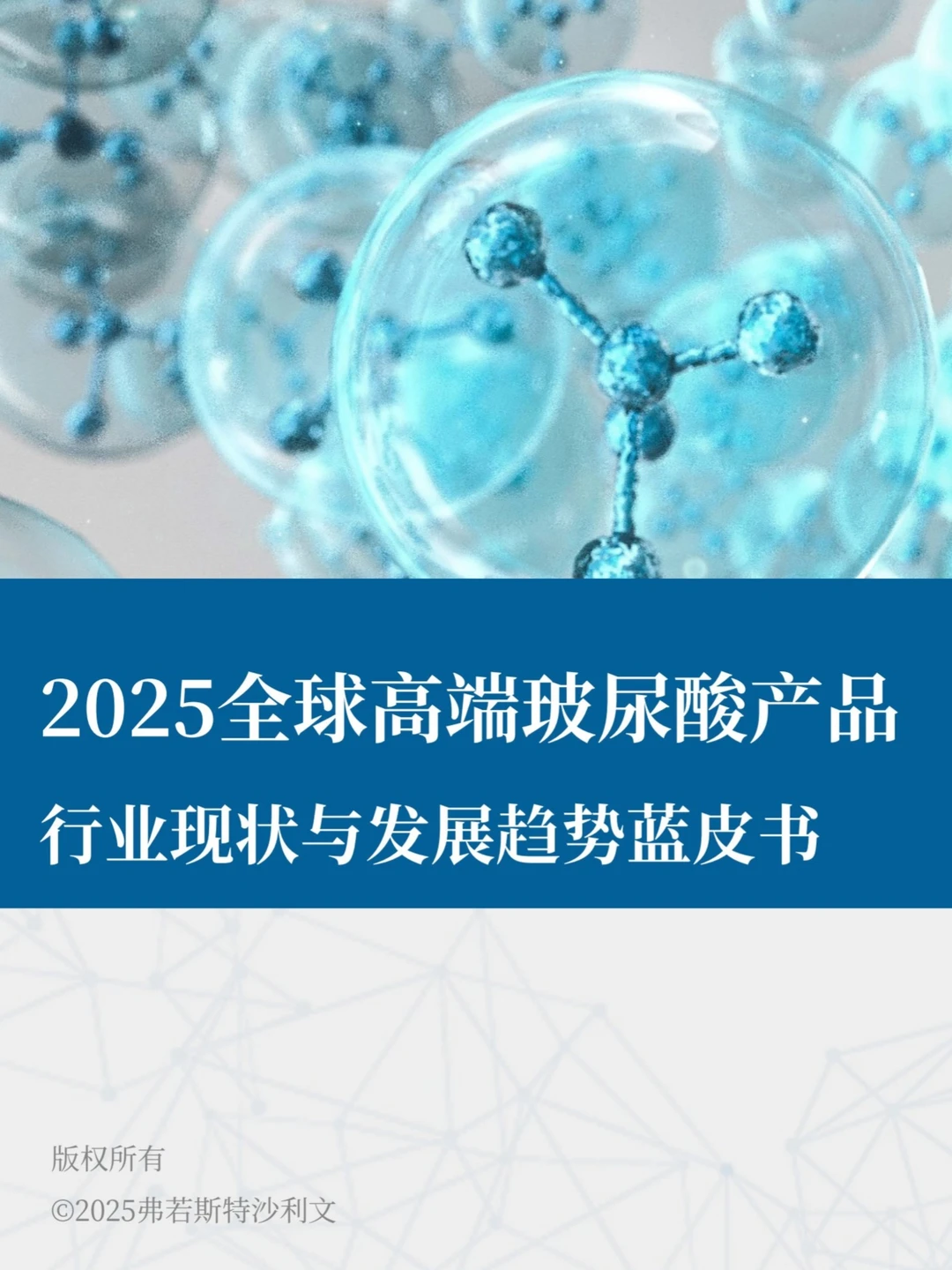 2025年全球高端玻尿酸产品报告