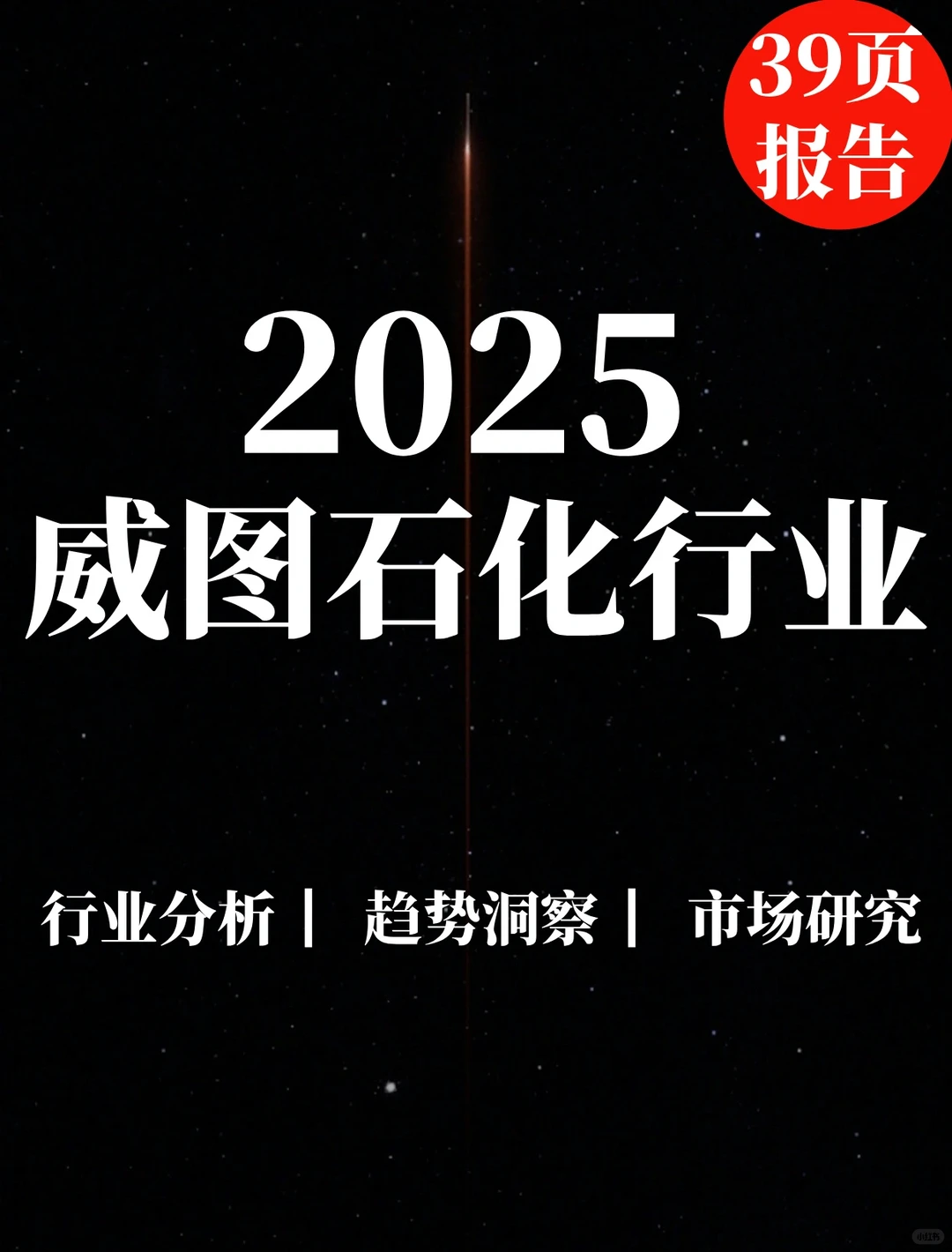 39页报告|威图石化行业数智化实践白皮书