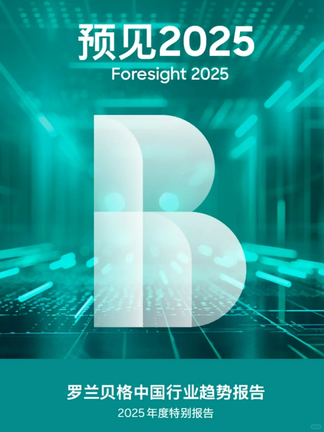 罗兰贝格:预见2025-中国行业趋势!