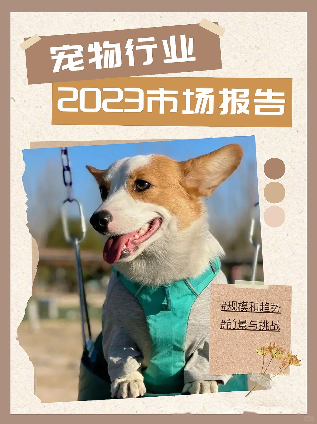 宠物行业市场规模及未来发展趋势