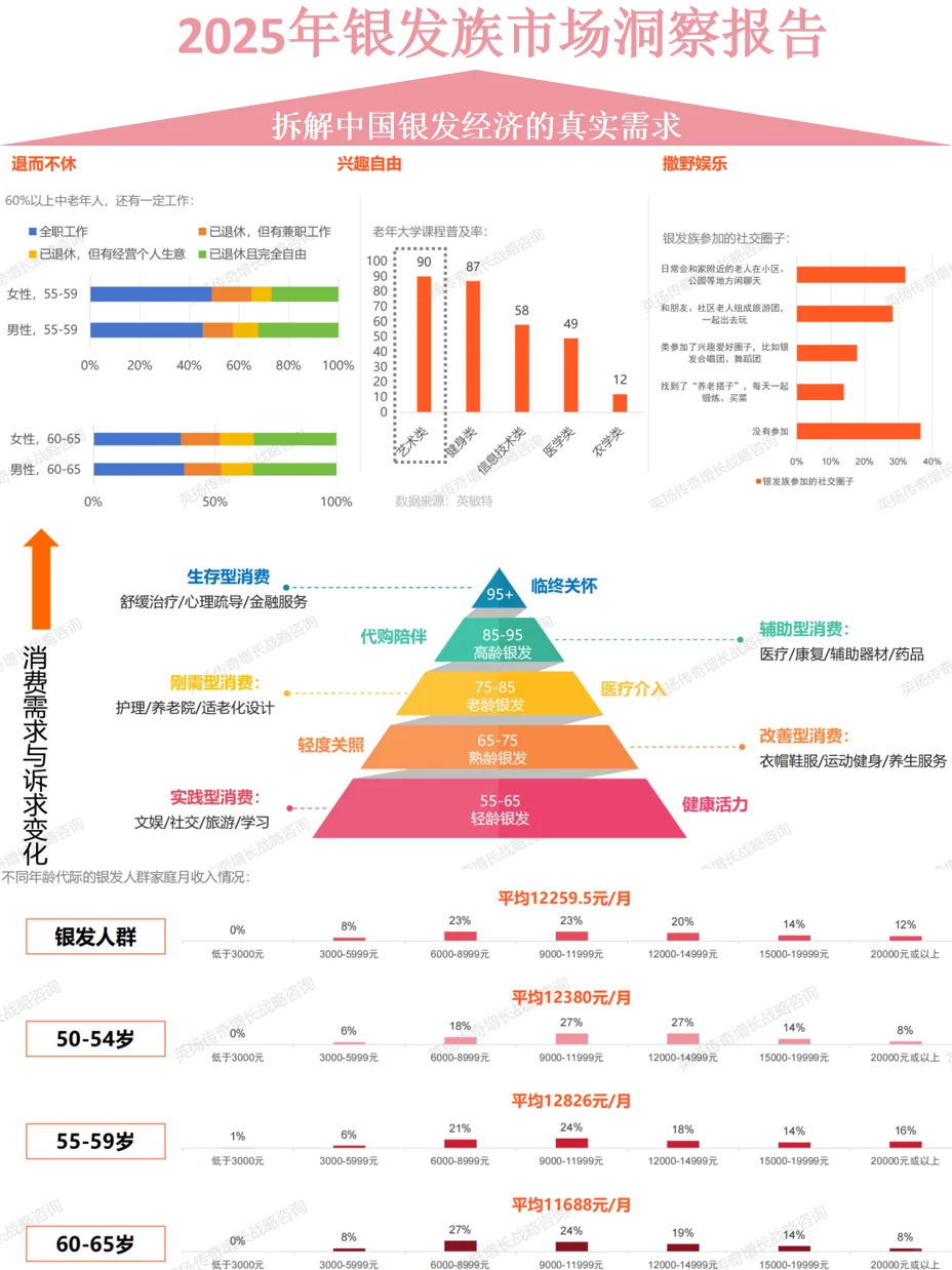 2025年银发族市场洞察报告 银发经济