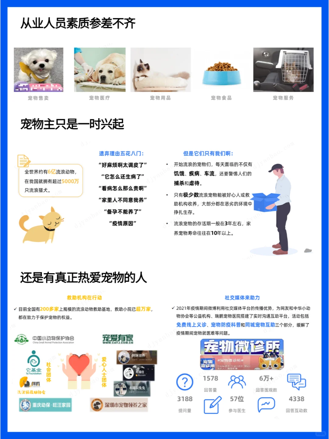 宠物行业研究报告 - 萌宠经济盛行