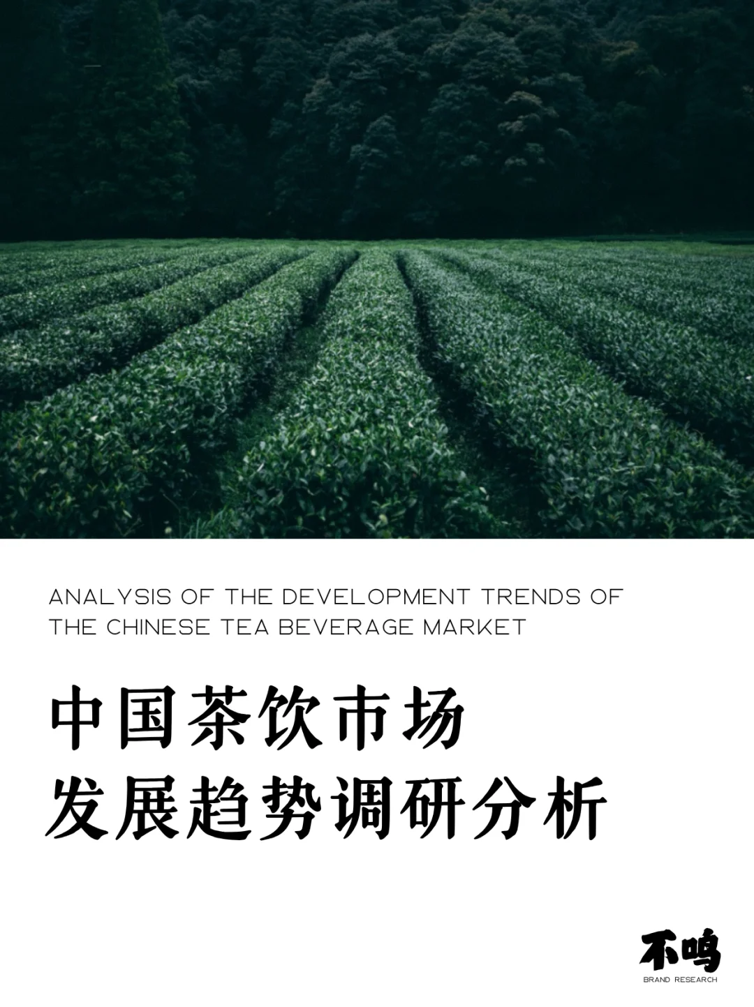 茶饮市场趋势调研分析，你了解多少？