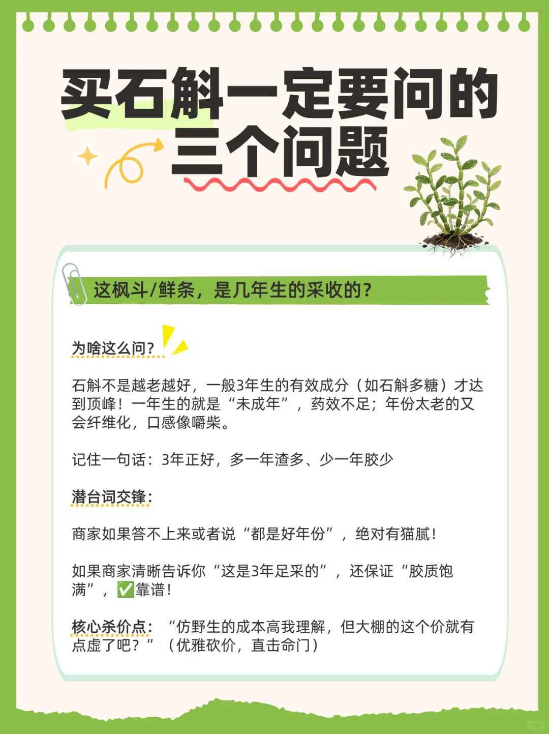 行业大揭秘:铁皮石斛的功效与作用