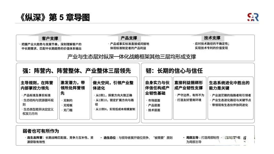 纵深一体化战略框架