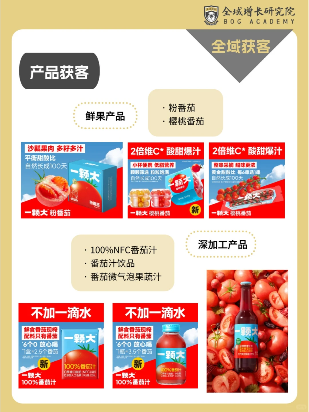 品牌案例 | 一颗大™的全域增长模式分析