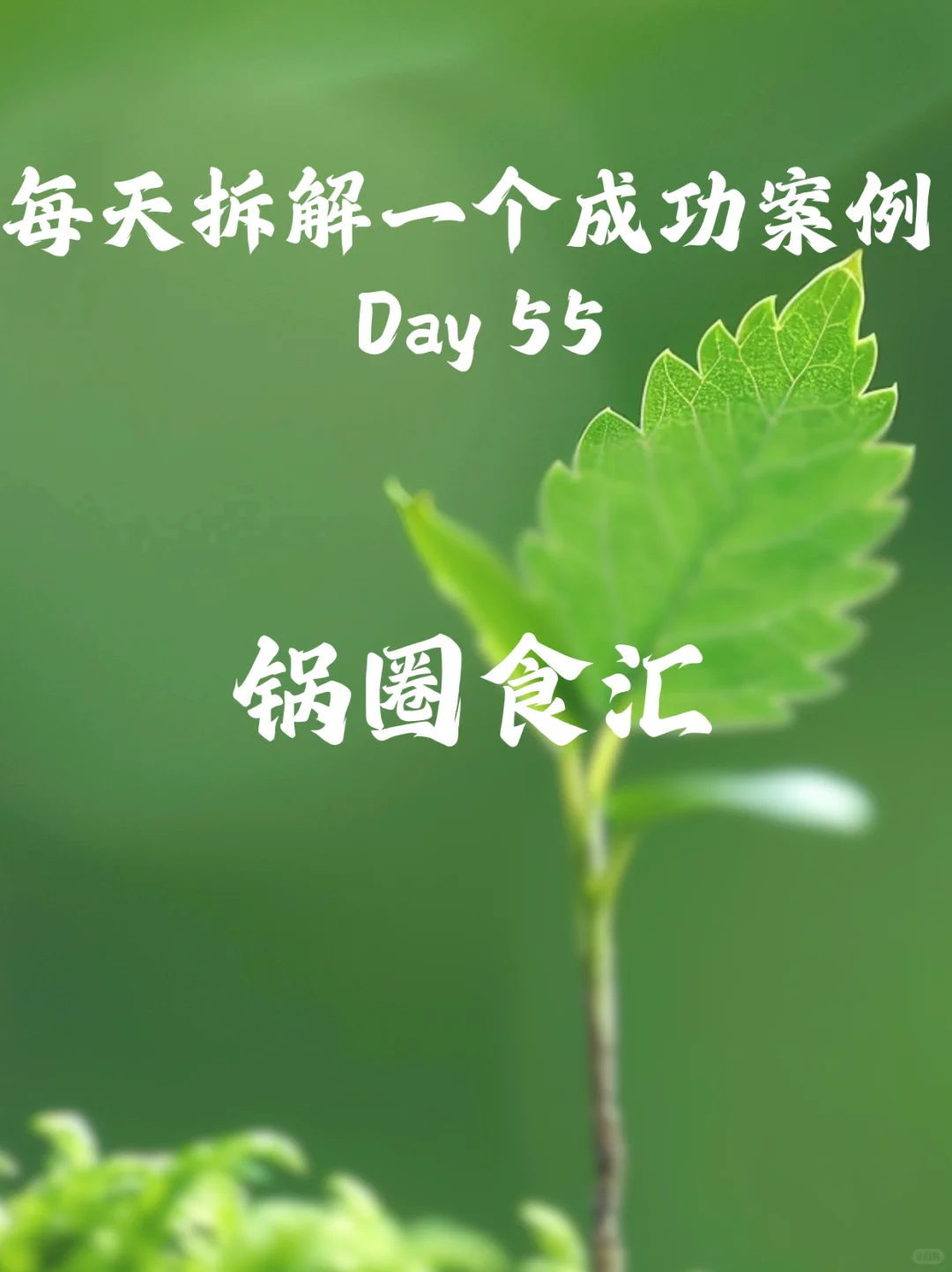 每天拆解一个成功案例 Day55 锅圈食汇