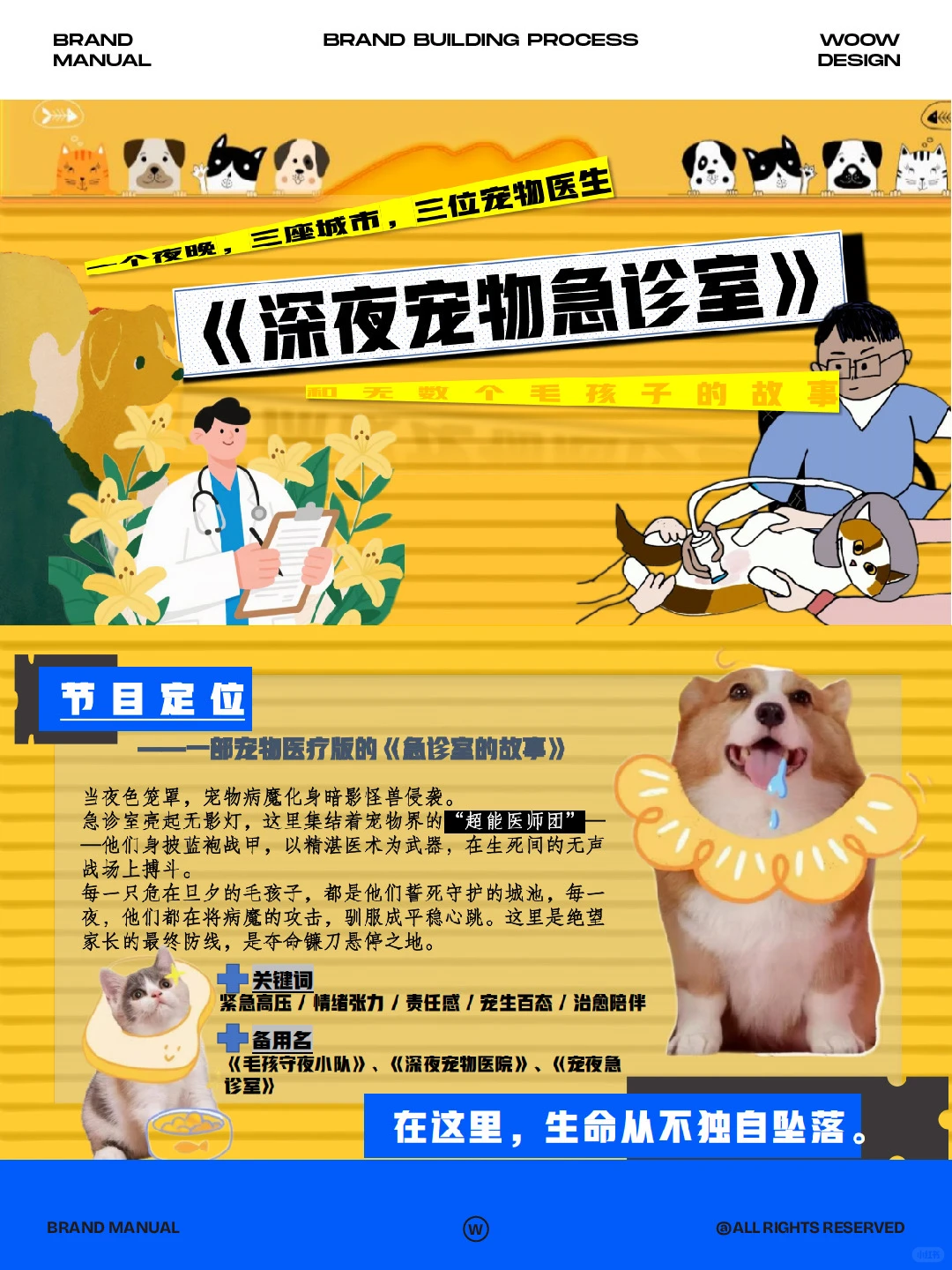 宠物品牌如何植入不尬!要成为“故事一部分”