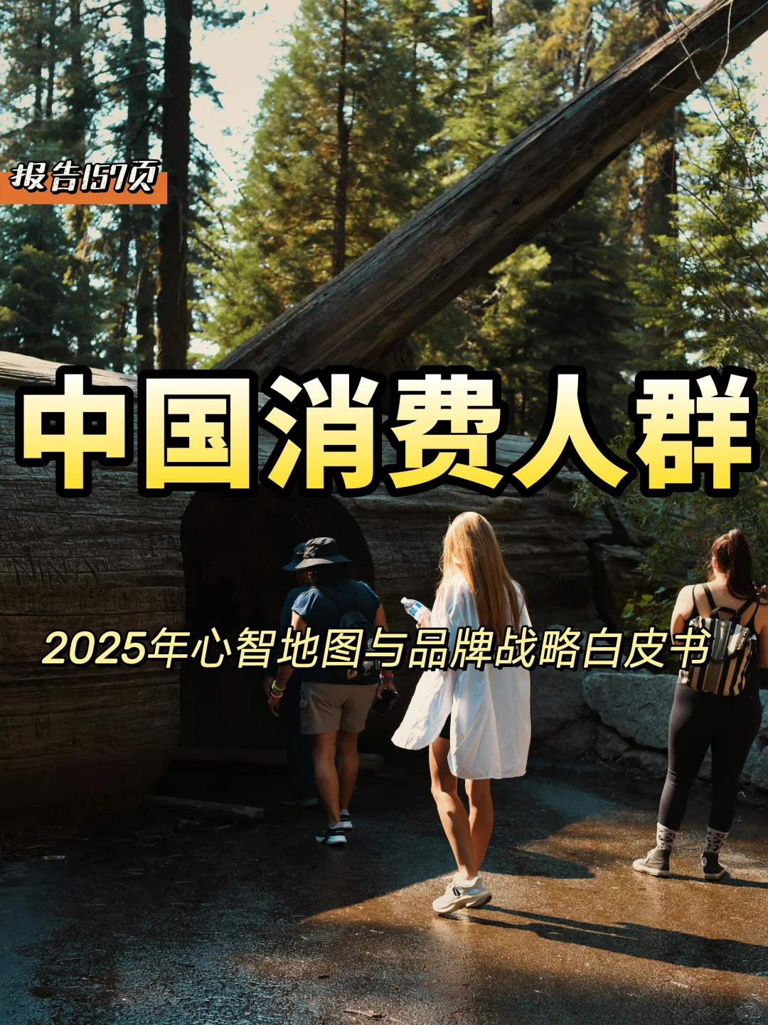 中国消费人群心智地图与品牌未来战略白皮书