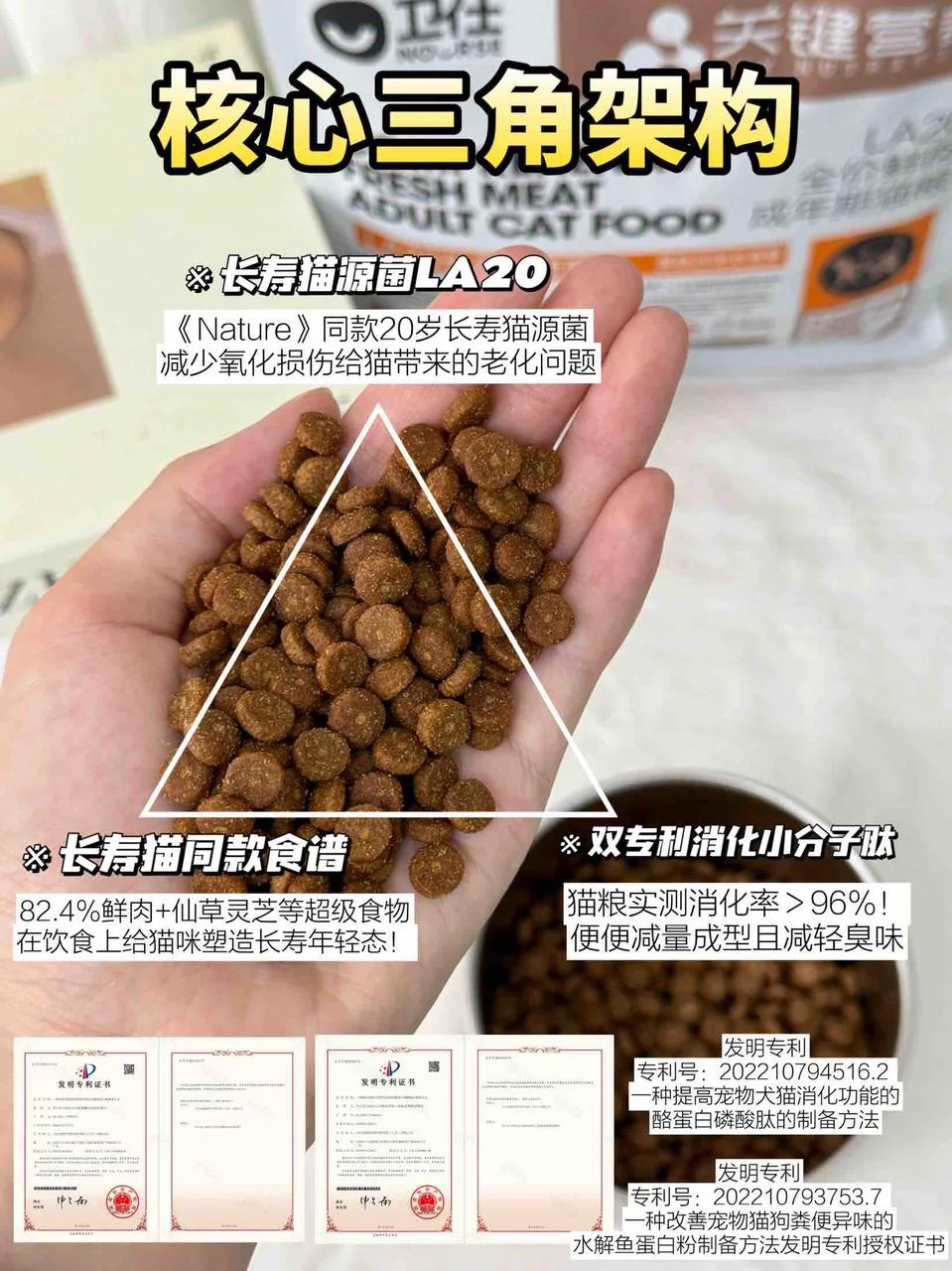 分享!猫咪20岁的秘诀是…