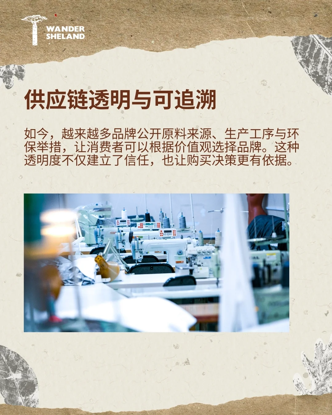 可持续时尚指南 ♻️