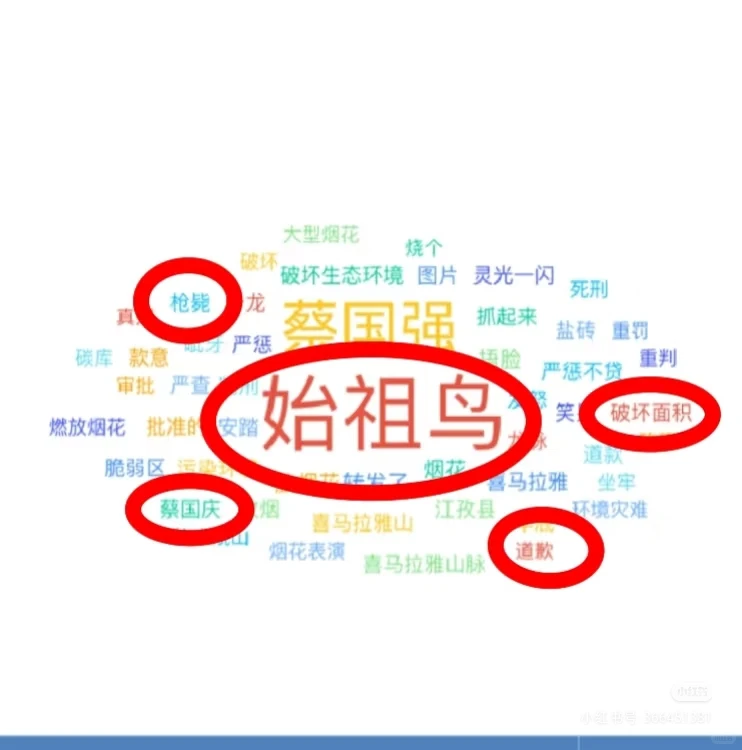 始祖鸟蔡国强烟花秀事件 $$报告分析$$