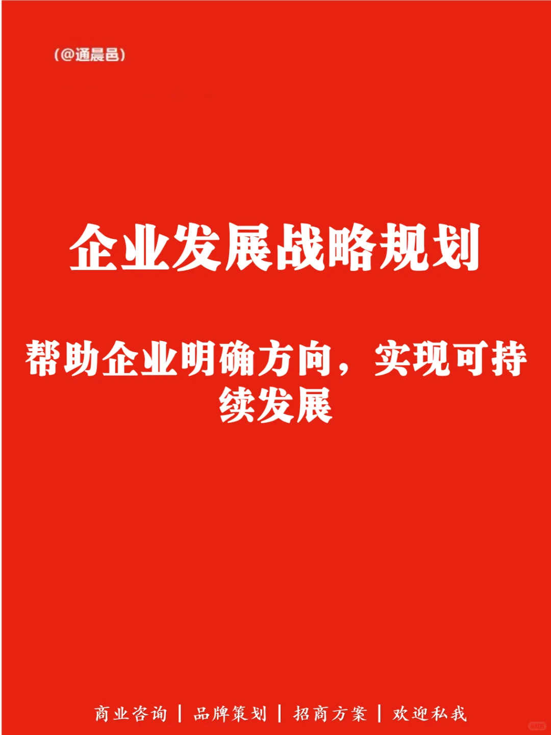 ? 企业发展战略规划?