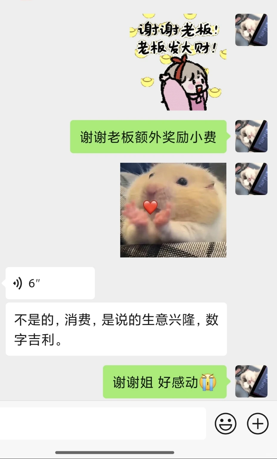 郫都区宠物店养店日常～