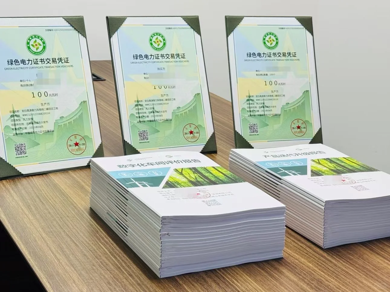 国网招投标绿色报告，ESG发展规划报告