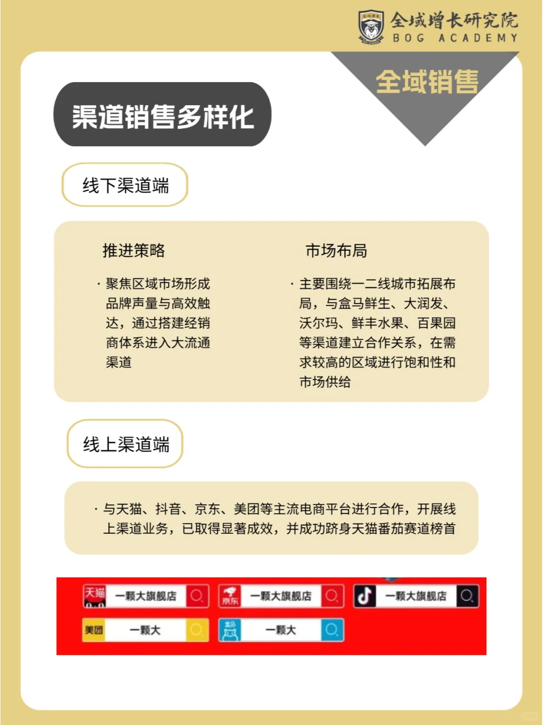 品牌案例 | 一颗大™的全域增长模式分析
