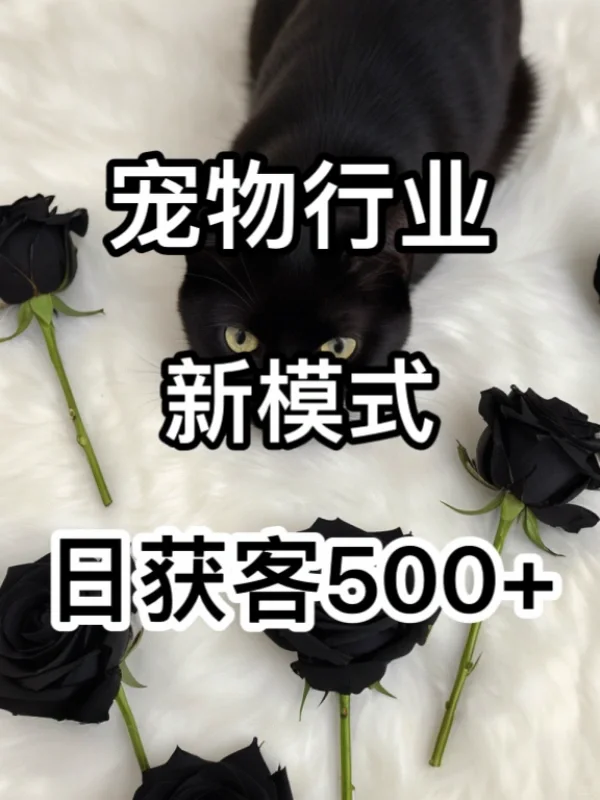 宠物行业，日获客500+的模式！