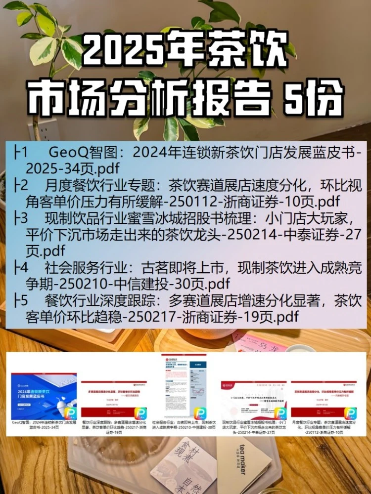2025年茶饮市场分析报告（5份）
